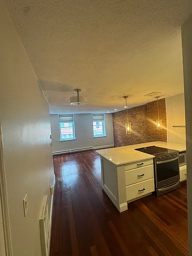 113 Fulton St #2 Photo 1
