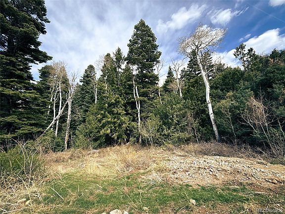 5th image of 189 Cedar Ridge Road