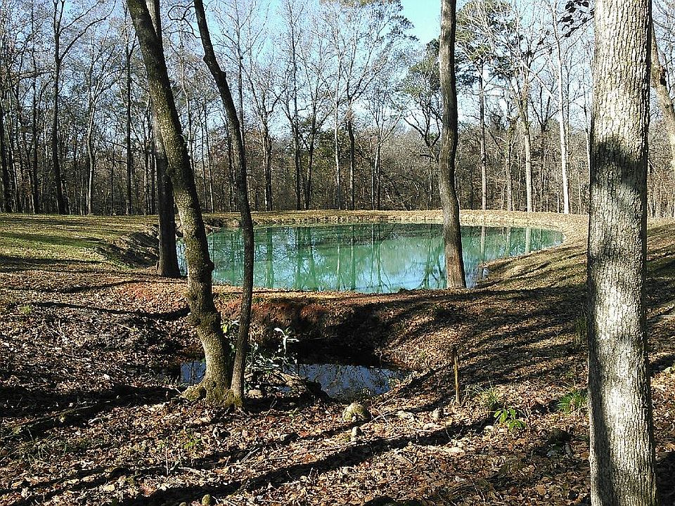 2nd image of 828 Timberland Rd