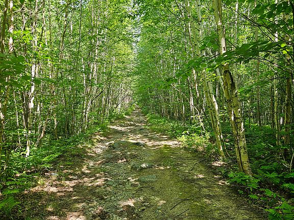 2nd image of R05-007C-1 Hennessey Road
