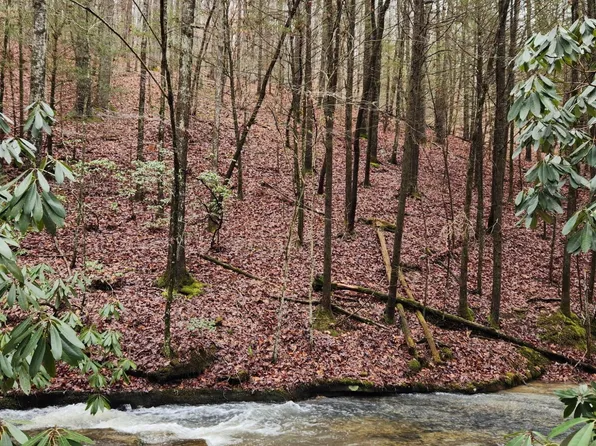 470 Bear Branch Rd Lot 4, Wartburg, TN 37887