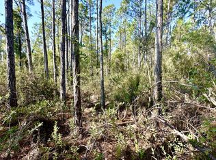 15 SW Van Buren Rd, Mayo, FL 32066