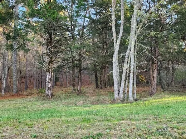 100 Brook Green Ln Lot 2, Pittsboro, NC 27312