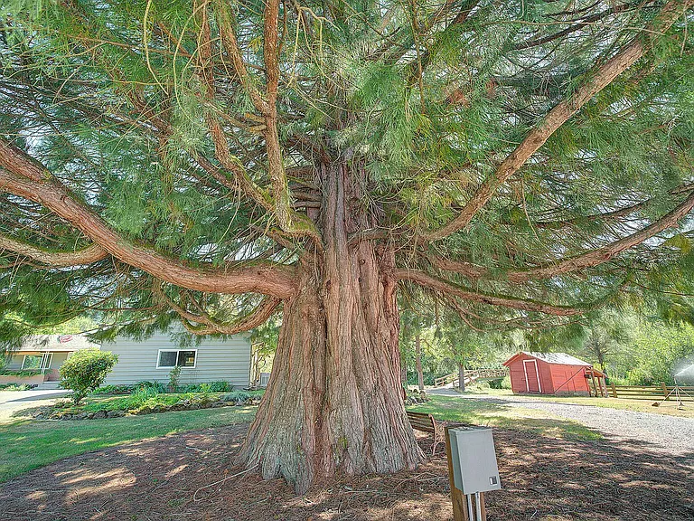 18021 Issaquah Hobart Rd SE — Photo 47