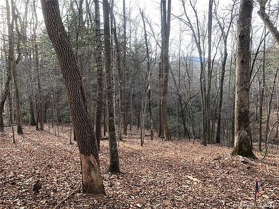 4th image of 36 Towering Oaks Ln