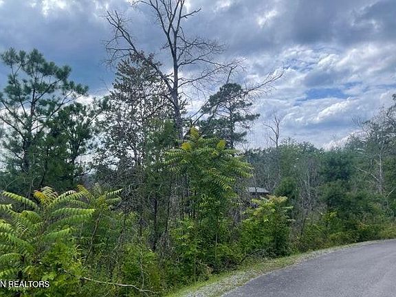 3rd image of LOT 4 River Birch Way