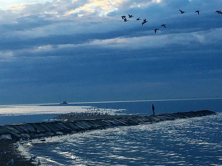 Afternoon and rising tide at Shoal Point!