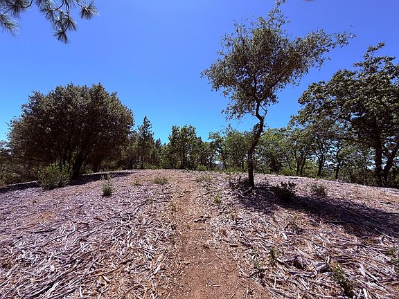 4th image of Acres Big Oak Court