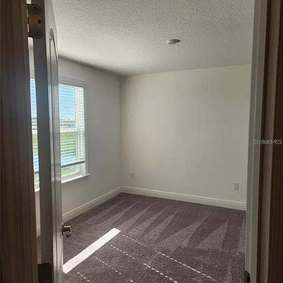 32118 Pond Apple Bnd — Photo 17