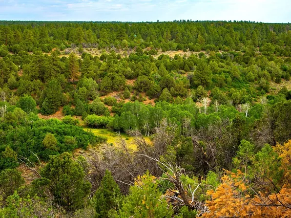 9111 Government Springs Rd, Montrose, CO 81403