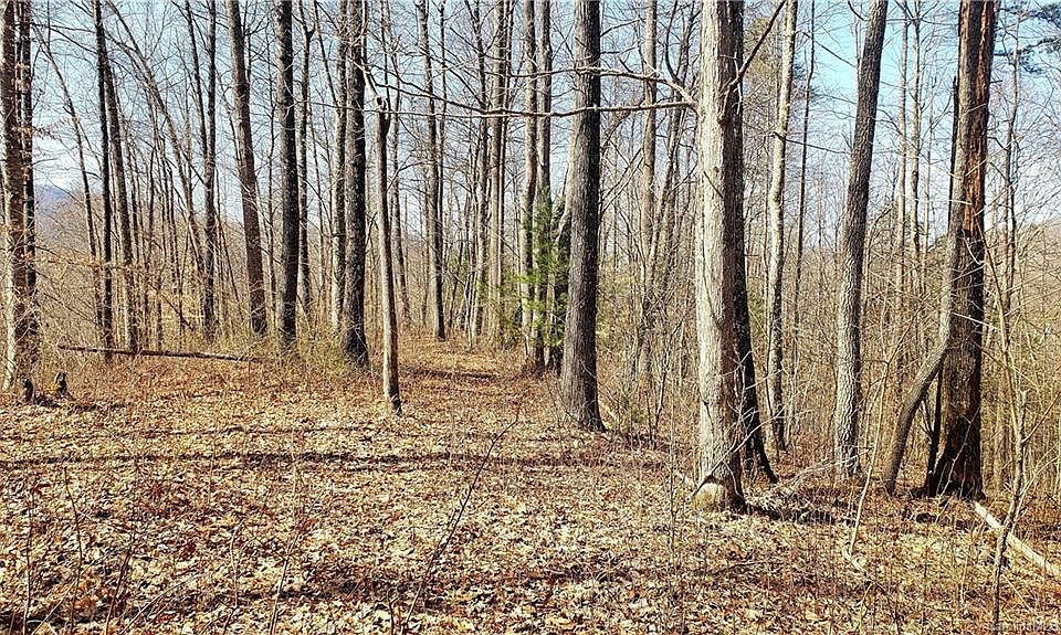 1st image of 0 Thorpe Dr