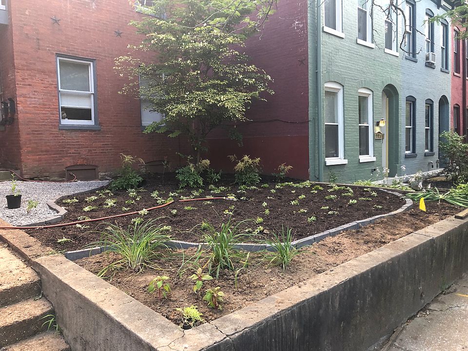Newly landscaped front yard