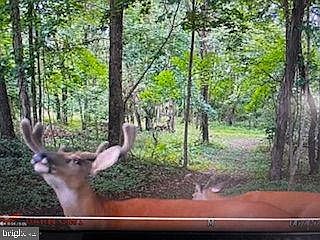 5th image of 401 Beck Mill Rd