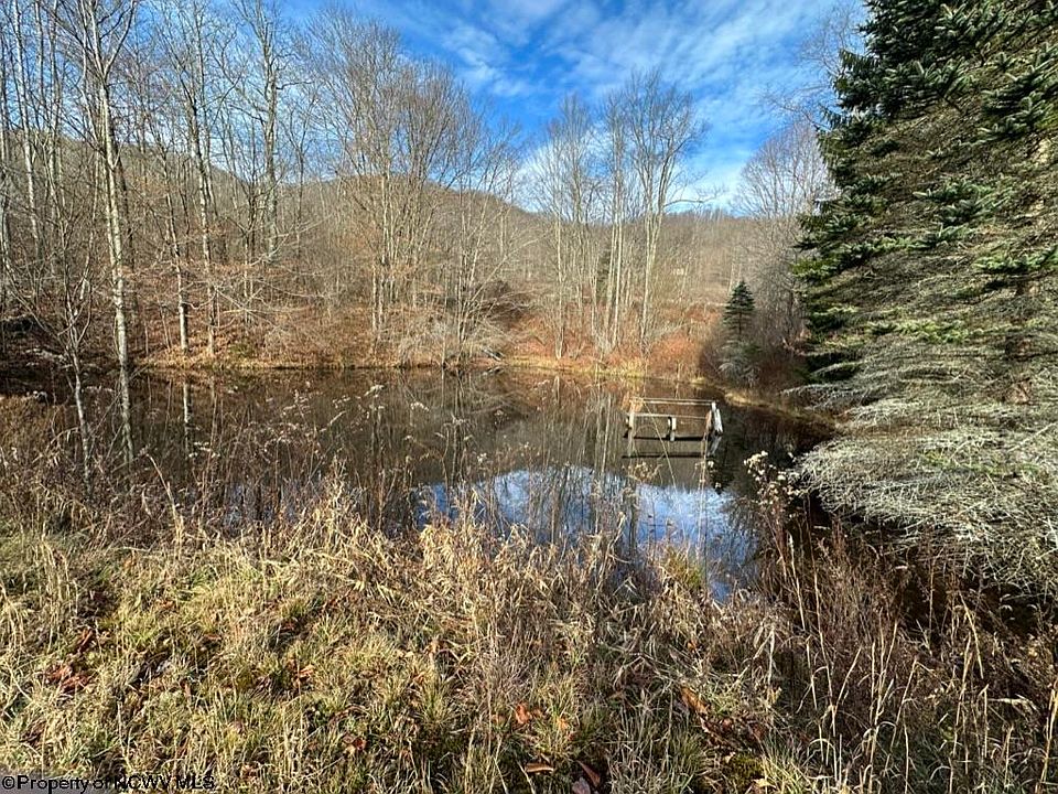 School House Hollow Rd, Glady, WV 26268 Zillow