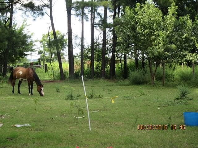 2nd image of 22200 Cannery Rd