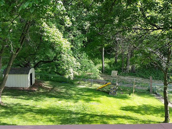 large shady backyard