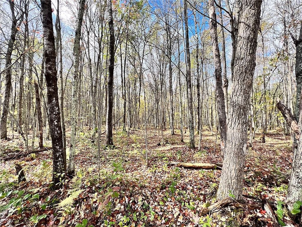 0 Moose Lake Road, Hayward, WI 54843 MLS 1577601 Zillow