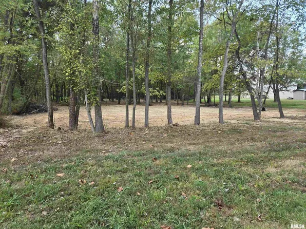 LOT 4 Norman Rd, Marion, IL 62959