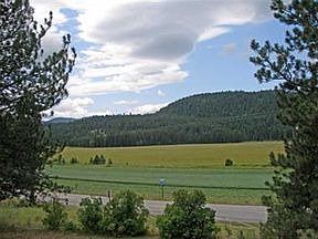 4th image of 28071 Highway 41