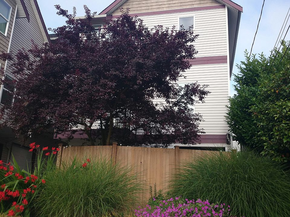 1st image of 3613 Gilman Ave W