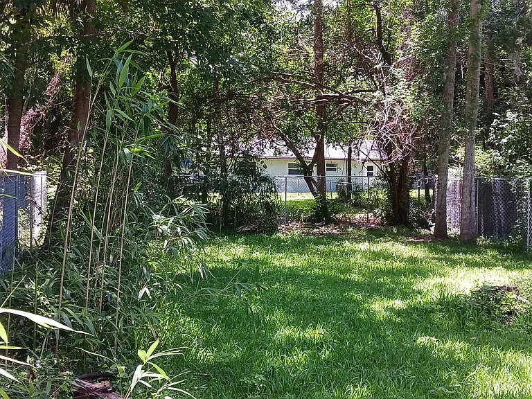 Shaded and fenced backyard