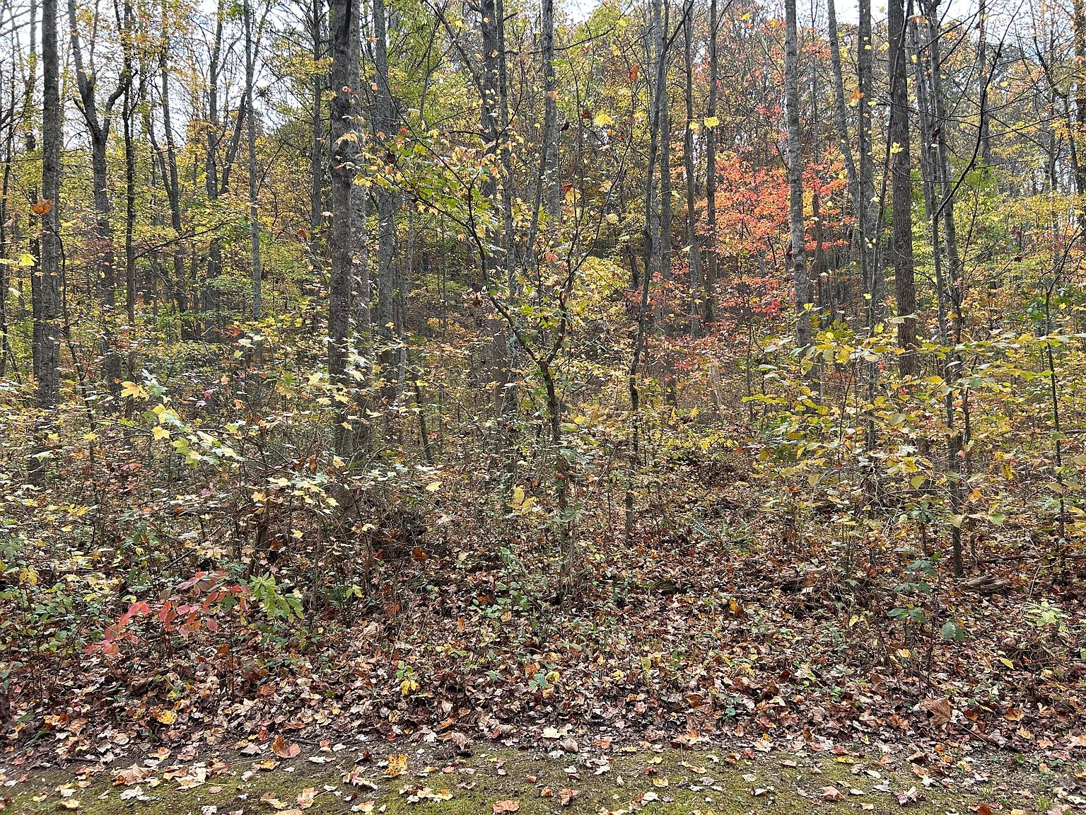 70 Millstone Rd, Clay City, KY 40312 MLS 23021149 Zillow