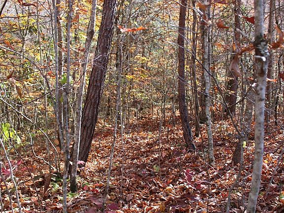 2nd image of 6 Carolina Spgs