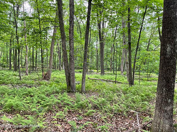 4th image of Heartwood Dr