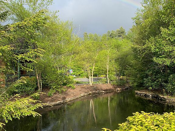 Pond off of the Front Porch
