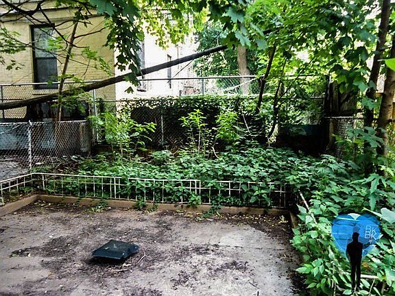 2nd image of 1136 Bushwick Ave APT 1B