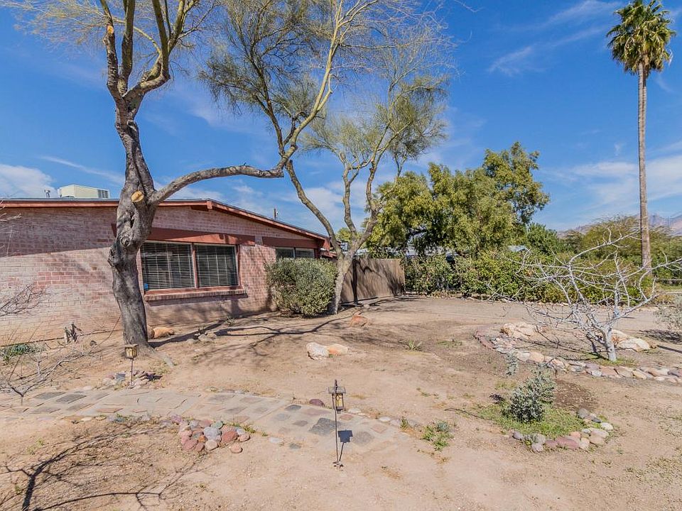 Front Yard in Winter