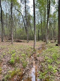 3rd image of 41 White Oak Dr