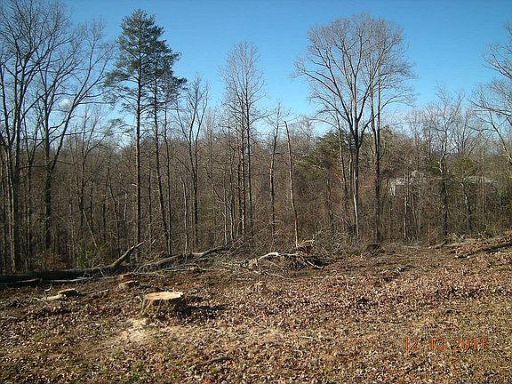 3rd image of 46 Goodrum Dr