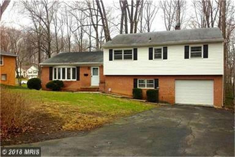 forest exterior_04192016