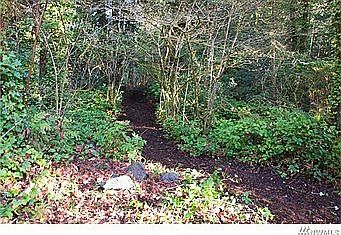 1st image of 14468 Komedal Rd NE