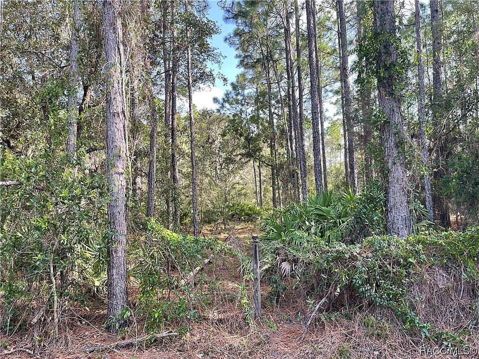 2nd image of 6522 W Mina Ln