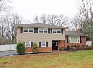 4 Old Mill Dr, Denville, NJ 07834