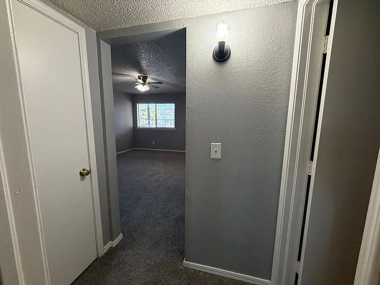 Kentucky Pine Apartments — Photo 14