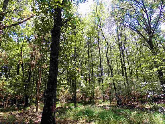 4th image of 0 Stevens Rd