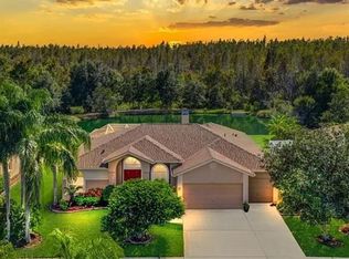 18408 Bittern Ave, Lutz, FL 33558