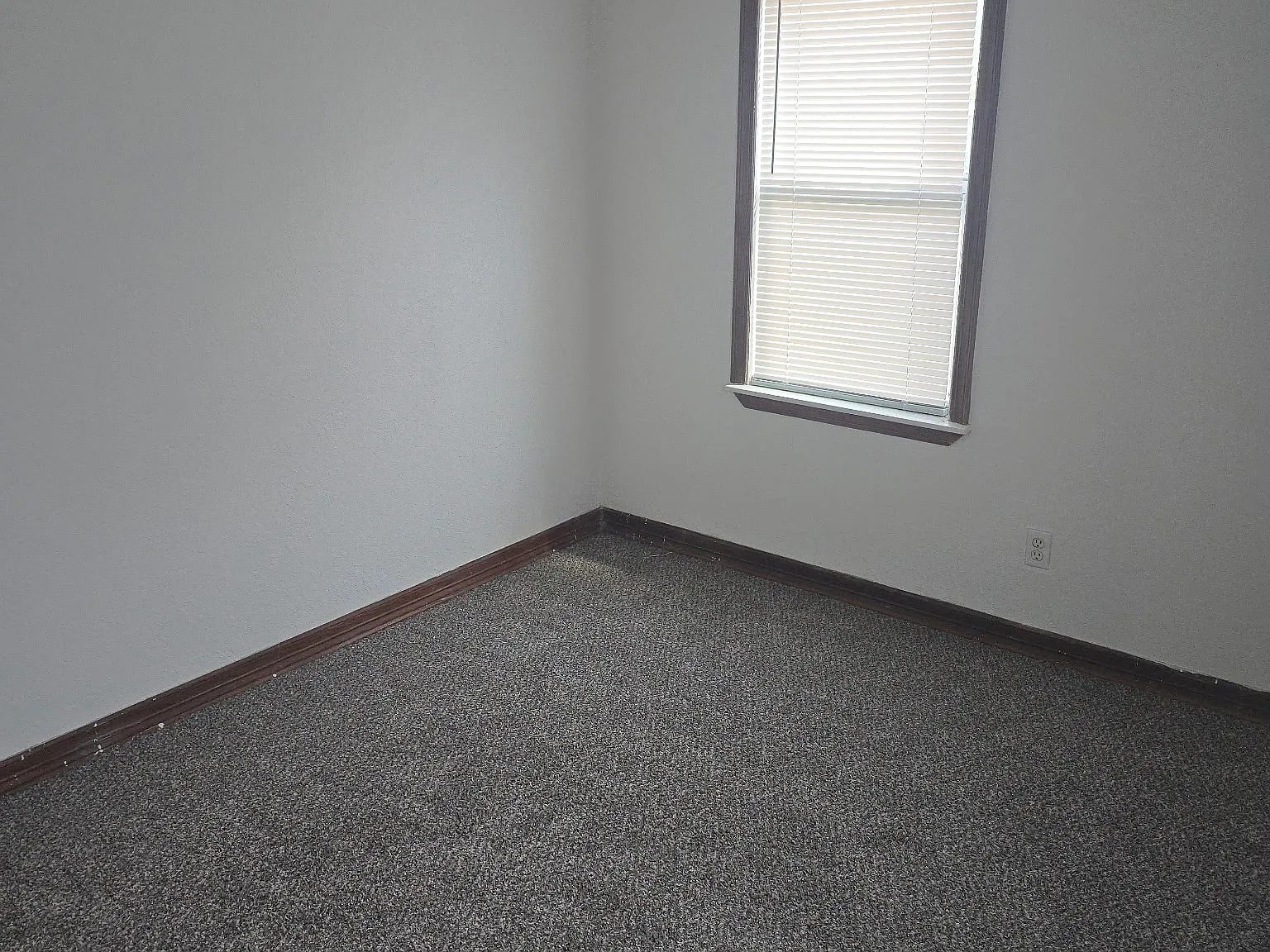 1 bed, 739 sqft, $800 — Photo 4