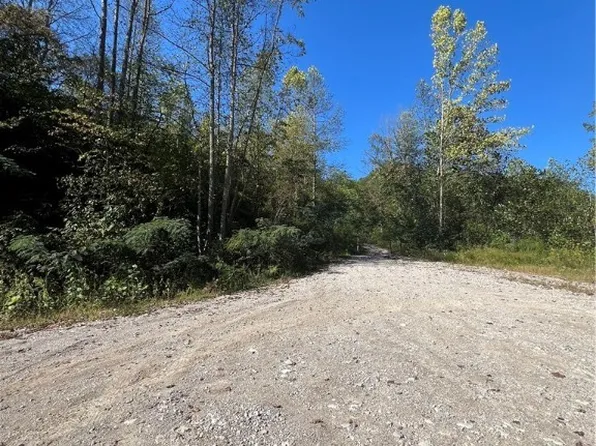 1029 Toneys Branch Rd, Bloomingrose, WV 25024