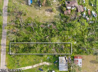 Lot 15 NW Stephens St, Steinhatchee, FL 32359