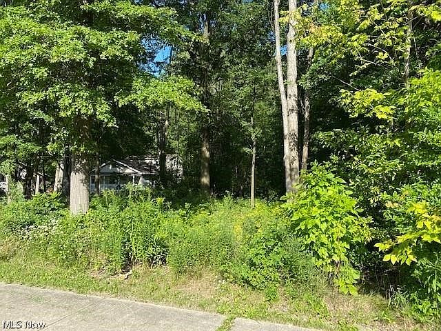 1st image of Stearns Rd