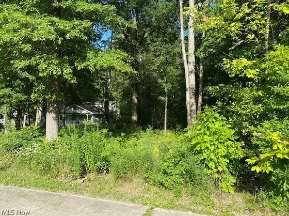Stearns Rd, North Olmsted, OH 44070