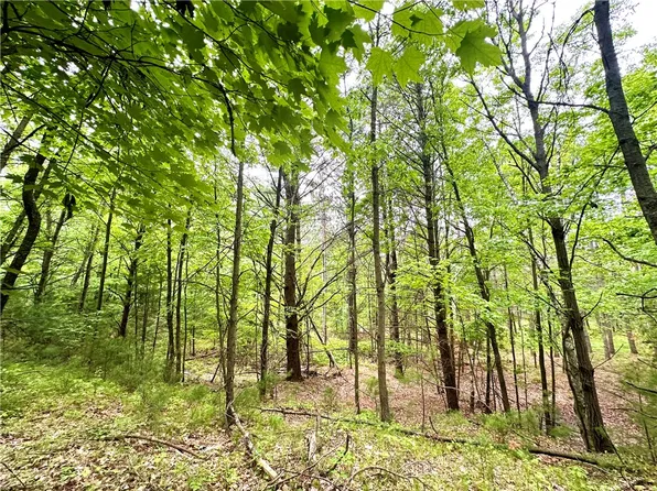 0(10 Acres) County Highway B, Humbird, WI 54746