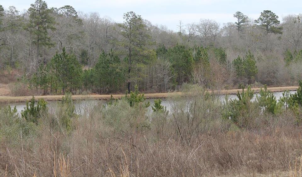 LOT 38 Wolf Creek Dr, Americus, GA 31719 Zillow