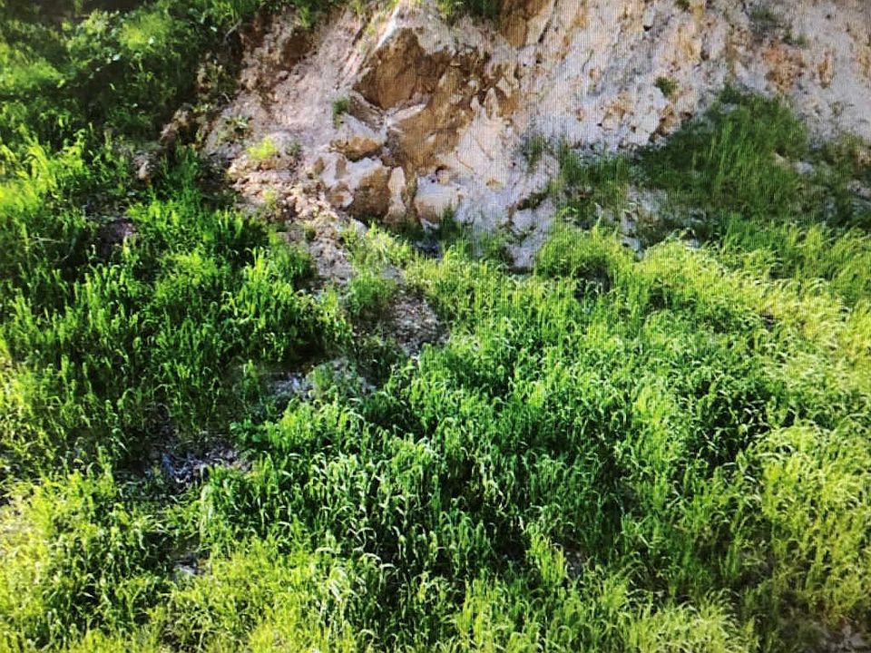 2659 Onyx Dr, Los Angeles, CA 90032 Zillow