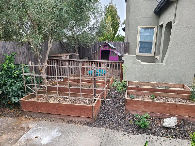 Jainine St — Photo 7