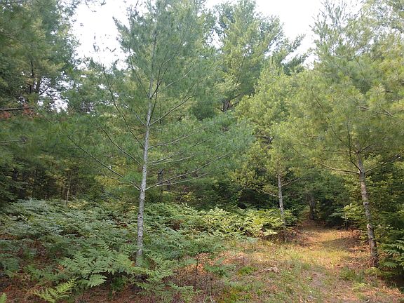 4th image of 14453 Shoreline Dr
